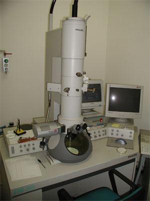 microscopio208